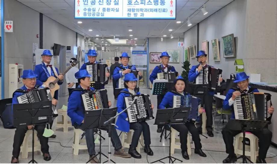 아코디언