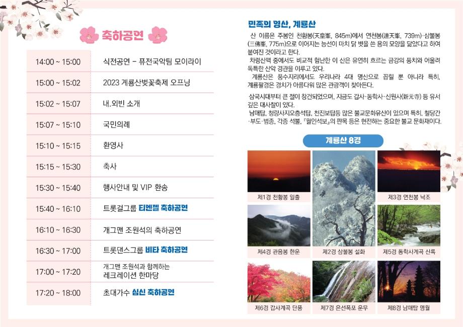 계룡산 벚꽃축제4